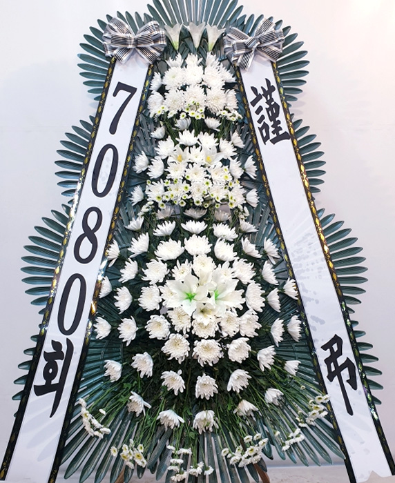 ST-FB226