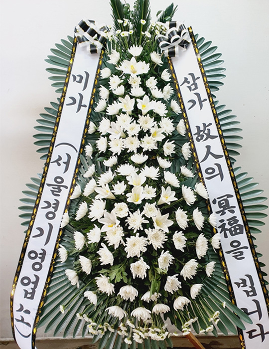 ST-FB226
