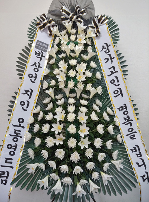 ST-FB162
