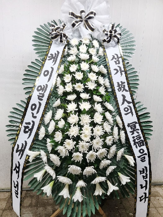 ST-FB226