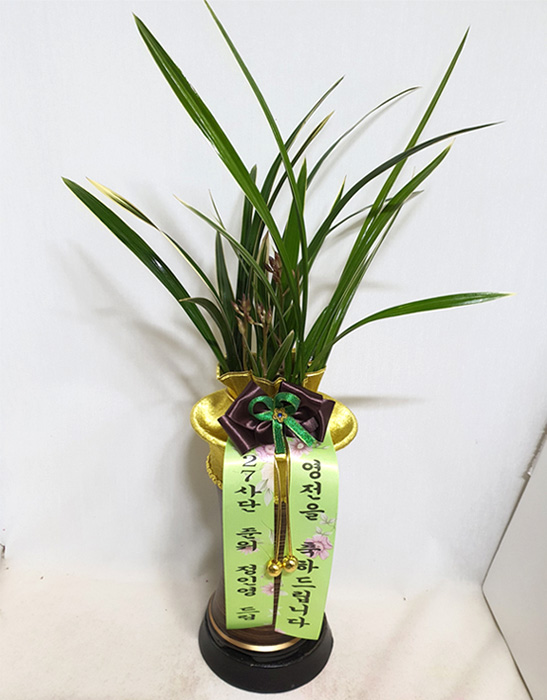 ST-E479