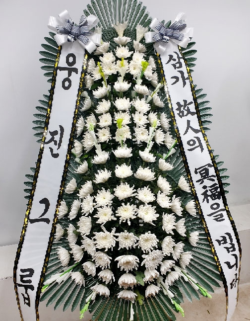 ST-FB226