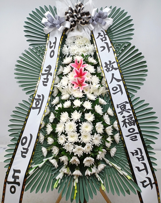 ST-FB141