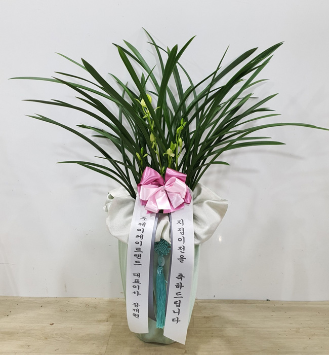 ST-E531