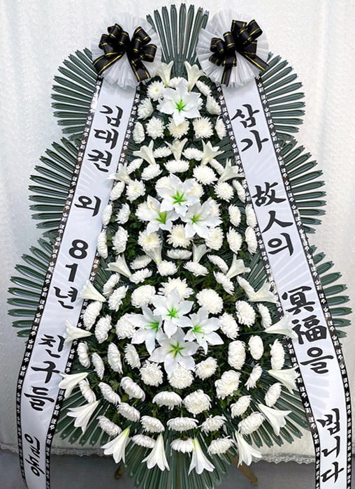 ST-FB233