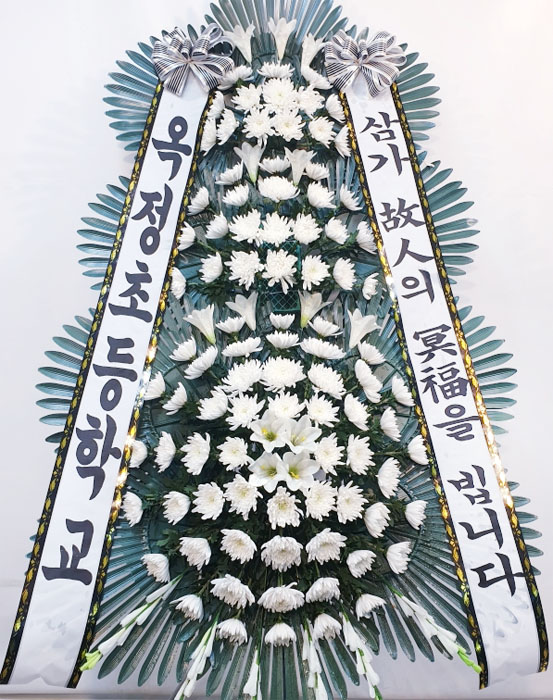 ST-FB226