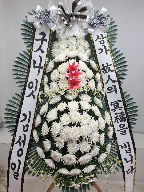 ST-FB141