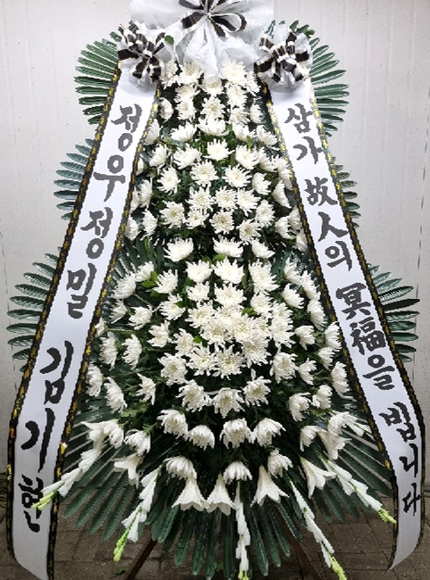 ST-FB233