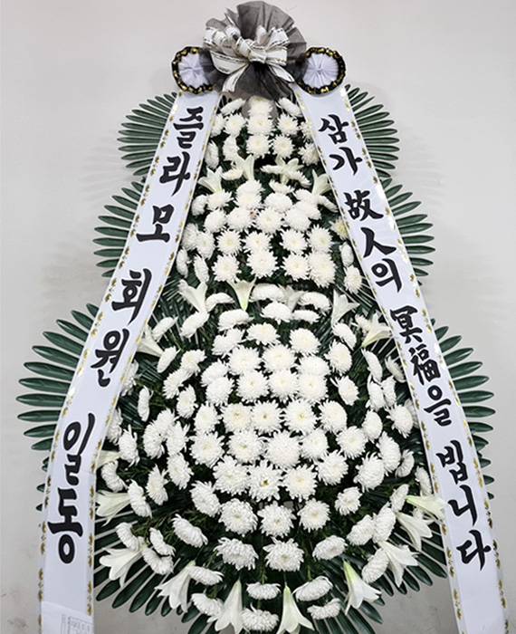 ST-FB226