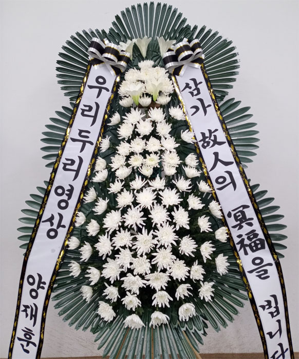 ST-FB233