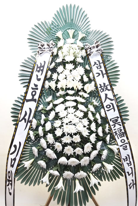 ST-FB233