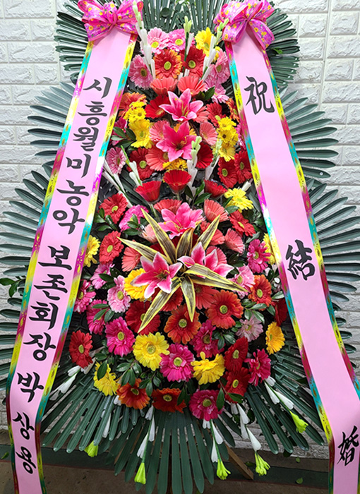 ST-FA248