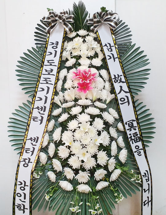 ST-FB141