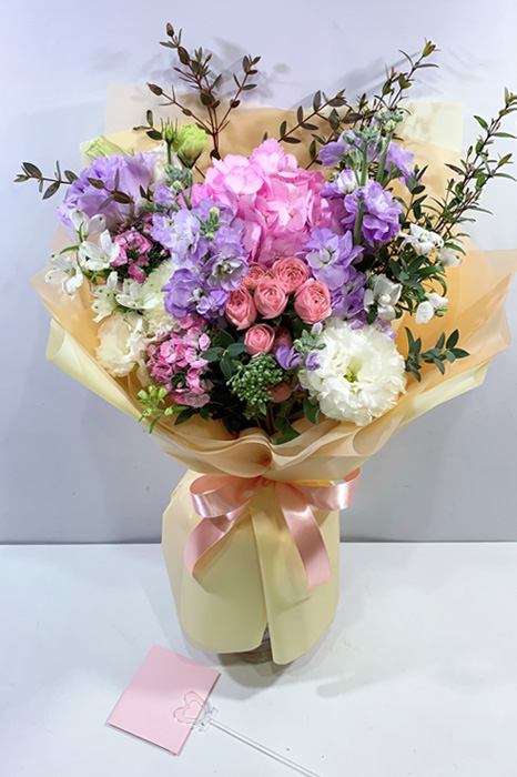ST-C539