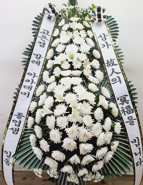 ST-FB226
