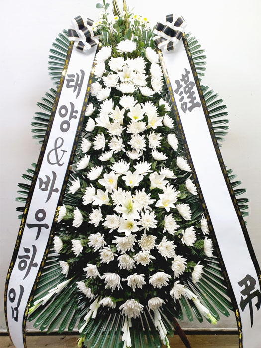 ST-FB226