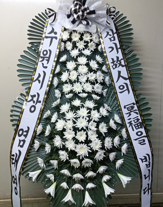 ST-FB233