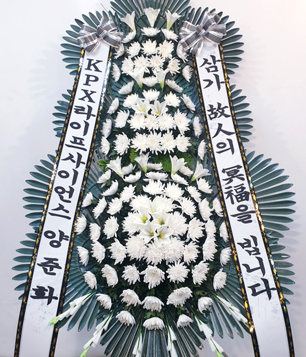 ST-FB226