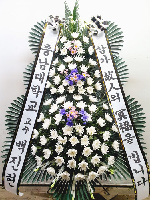 ST-FB142
