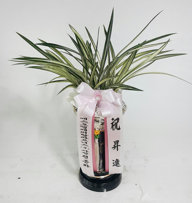 ST-E280