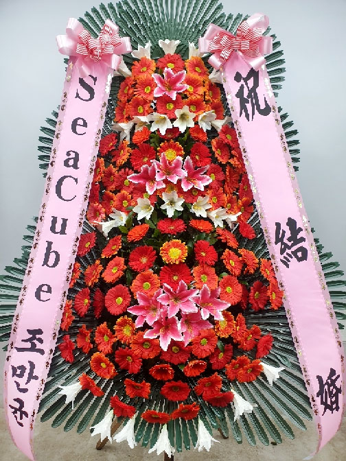 ST-FA248