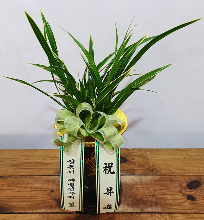 ST-E545