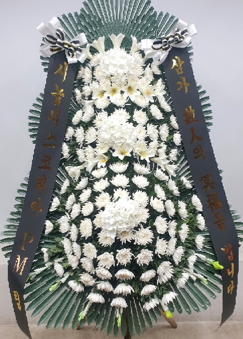 ST-FB259