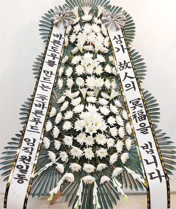 ST-FB233