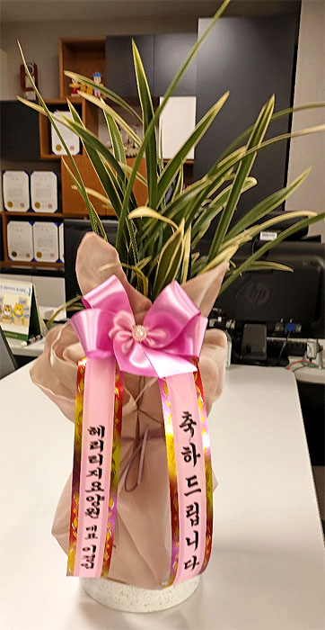 ST-E548