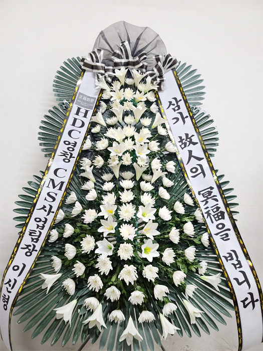 ST-FB226