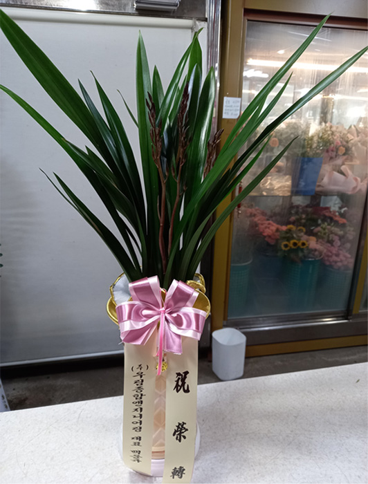 ST-E488