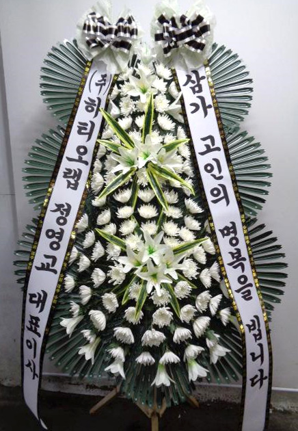 ST-FB226