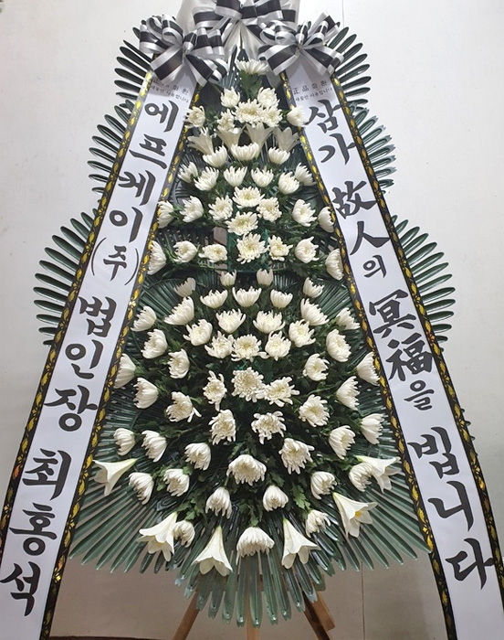 ST-FB226