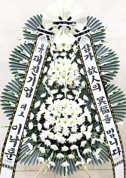 ST-FB226