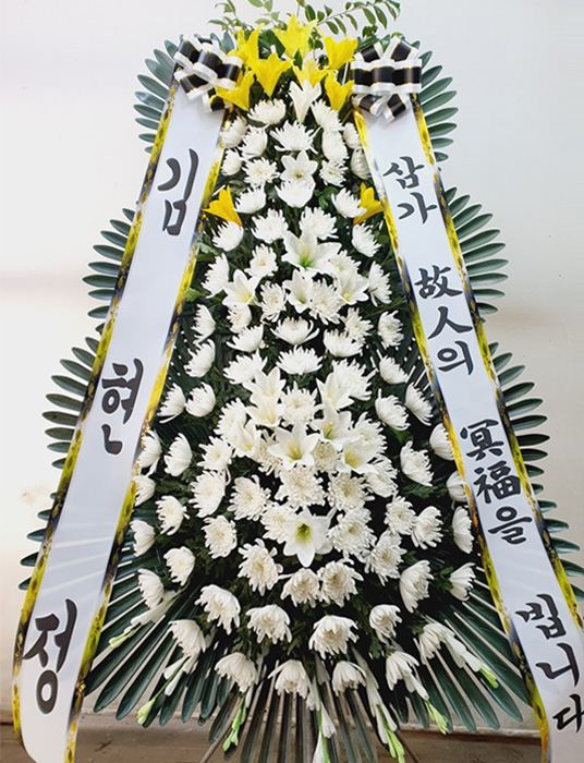 ST-FB226