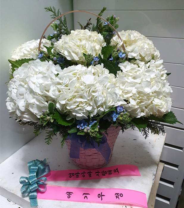 ST-A1954
