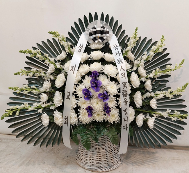 ST-FB255