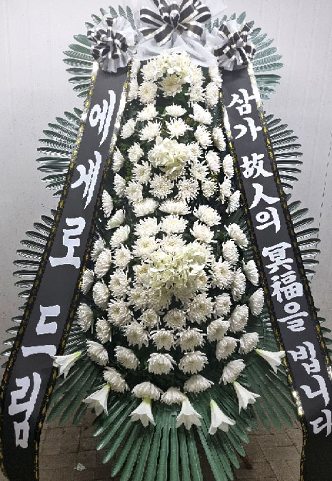ST-FB252