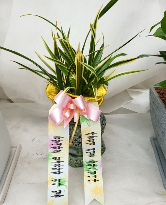 ST-E543
