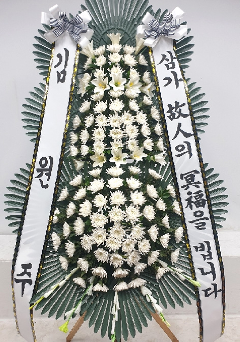 ST-FB226