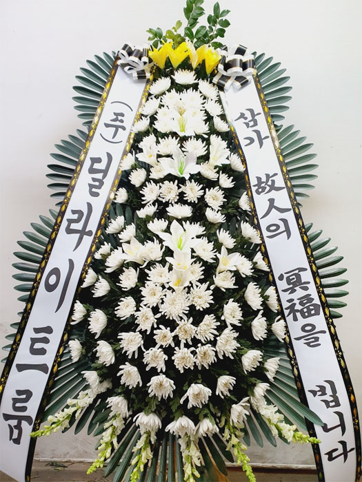 ST-FB226
