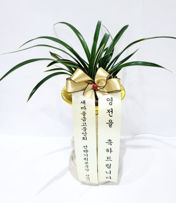 ST-E543