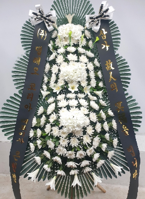 ST-FB259