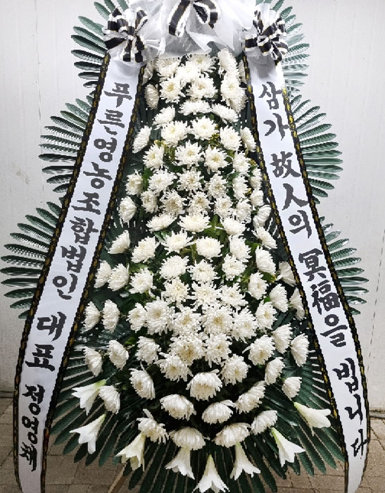 ST-FB226