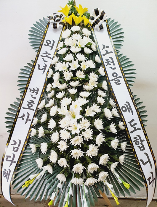 ST-FB226