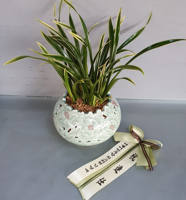 ST-E553