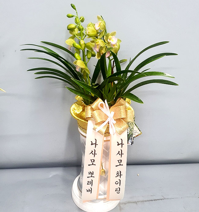 ST-E534