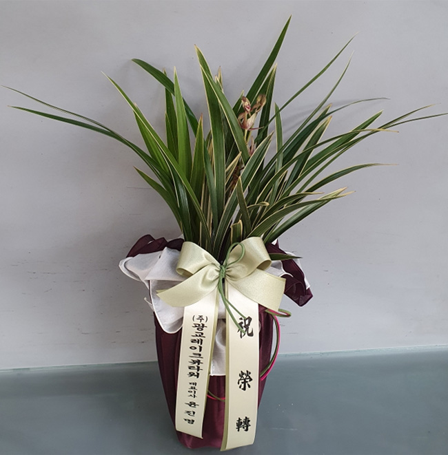 ST-E530