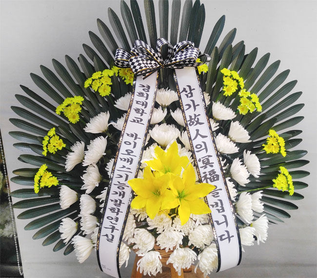 ST-FB097