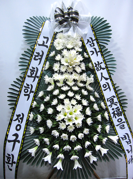 ST-FB141